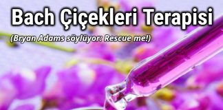 Bach Çiçekleri Nedir
